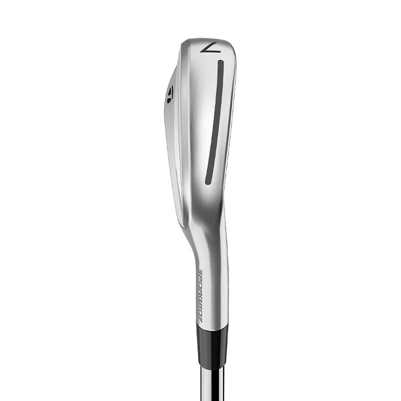 TaylorMade P770 Irons