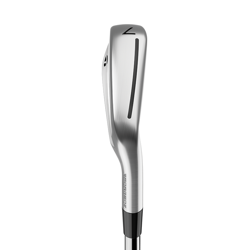 TaylorMade P790 Irons